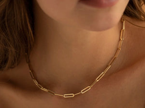 Bailey Link Necklace